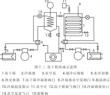凍干機(jī)組成示意圖