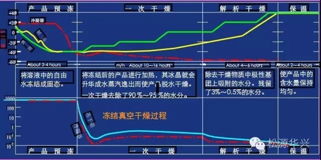 做好凍干產(chǎn)品的三個關(guān)鍵要素