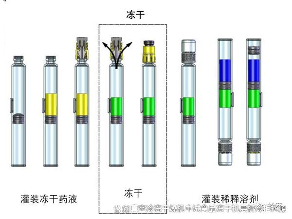 雙腔預(yù)充針凍干產(chǎn)品