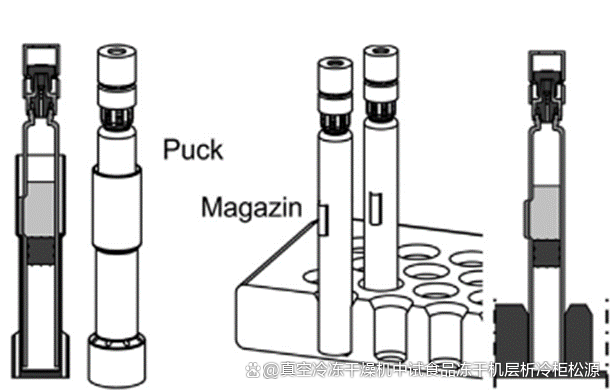 雙腔預(yù)充針凍干產(chǎn)品